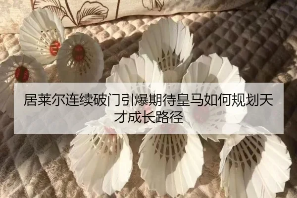 ju-lai-er-lian-xu-po-men-yin-bao-qi-dai-huang-ma-ru-he-gui-hua-tian-cai-cheng-zhang-lu-jing-2-616.jpg